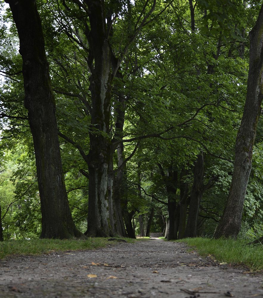 Photograph by Алексей Парамонов