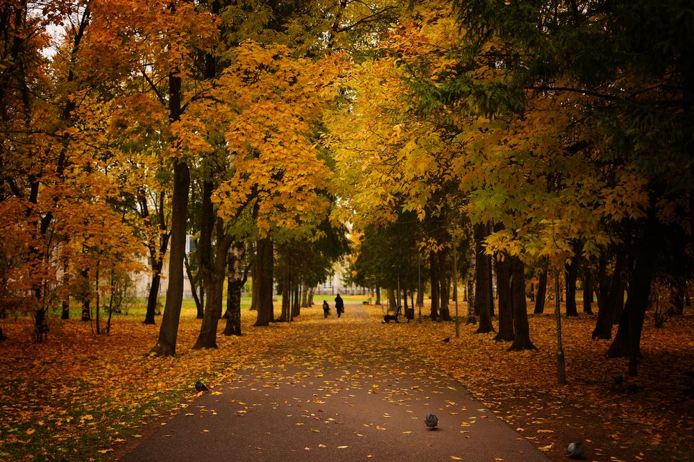 Photograph by Ирина Бабинцева