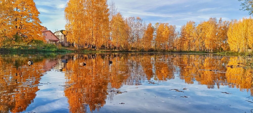 Photograph by Ольга Левакова