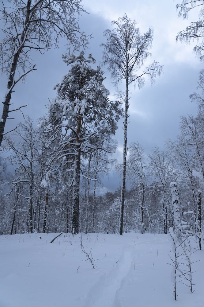 Photograph by Меркулова Наталья Геннадьевна