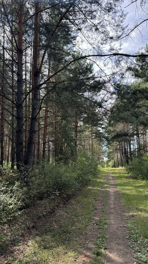 Photograph by Лейсан