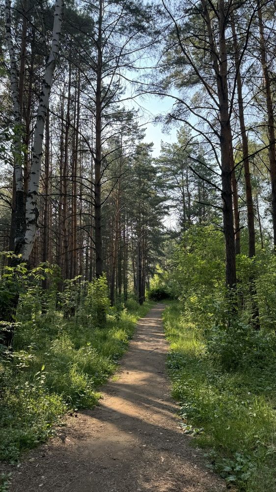 Photograph by Лейсан