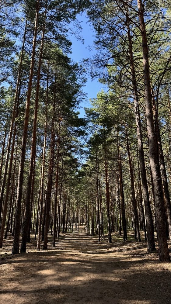 Photograph by Лейсан