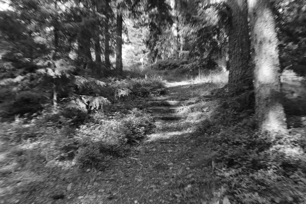 Фотография автора Колосова Елена