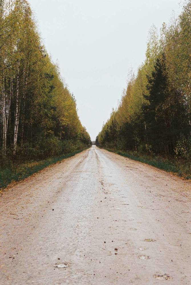 Photograph by Сергей Филиппов