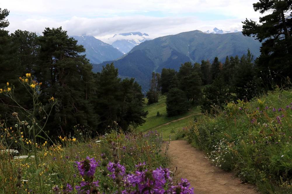 Фотография автора Колосова Елена