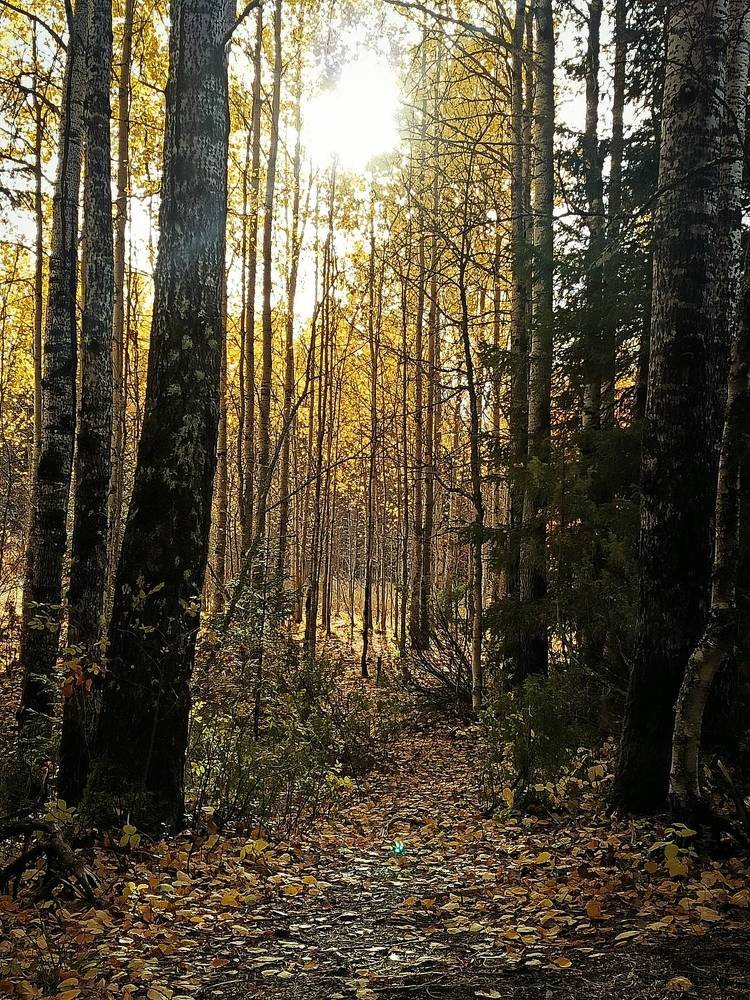 Photograph by Татьяна Бешенкина