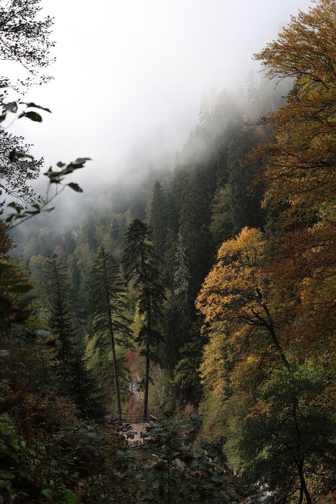 Photograph by Ольга Байгажакова