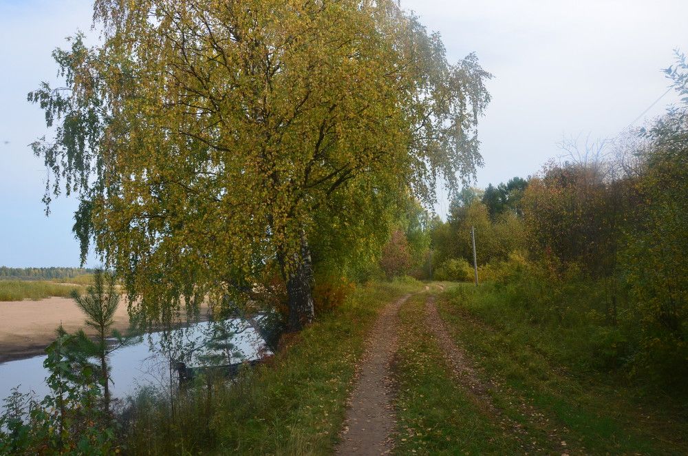 Photograph by Valentina