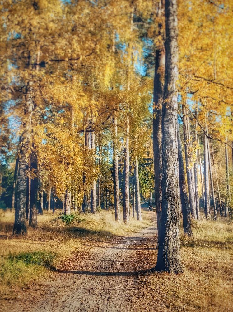 Photograph by Alsu Gimadieva