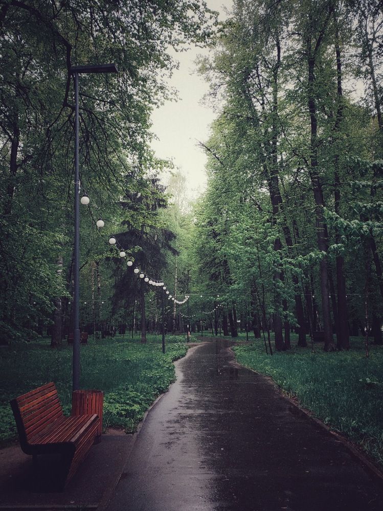 Photograph by Alsu Gimadieva