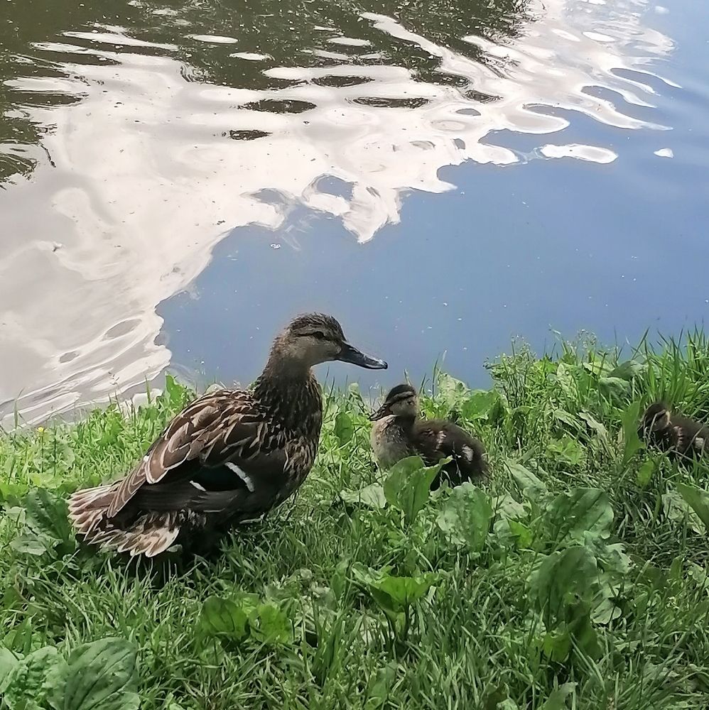 Photograph by Татьяна Бешенкина