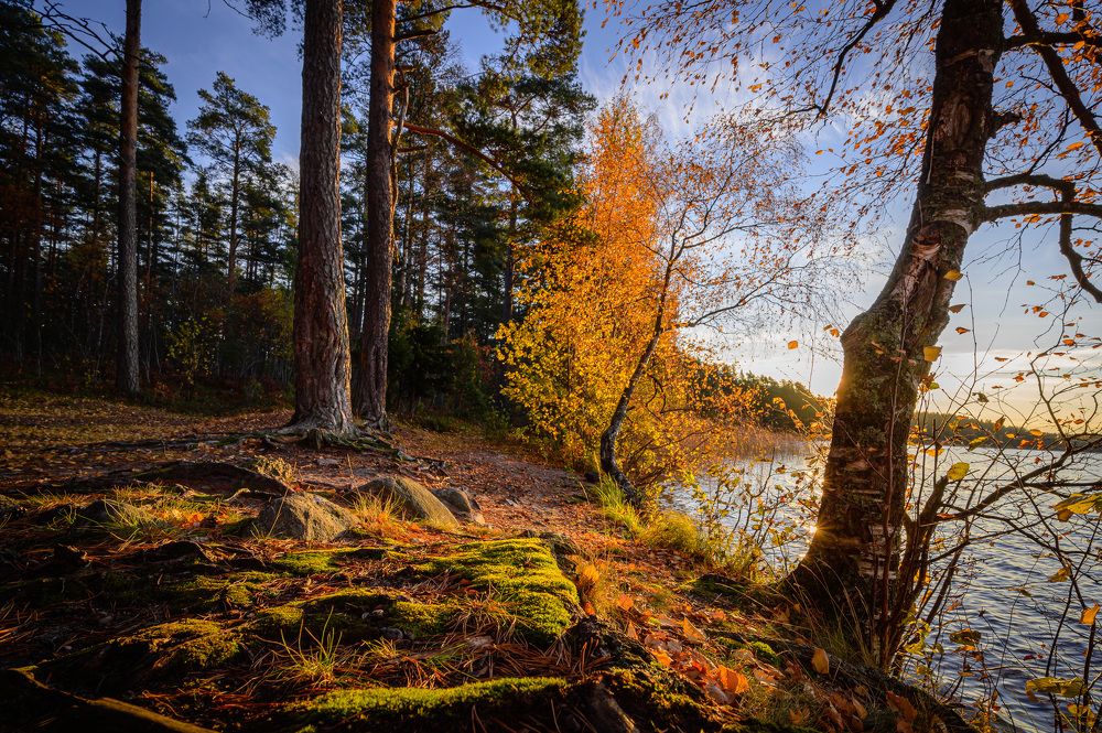 Photograph by Бабурин Олег