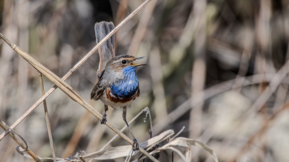 Photograph by Sofia Belyaeva