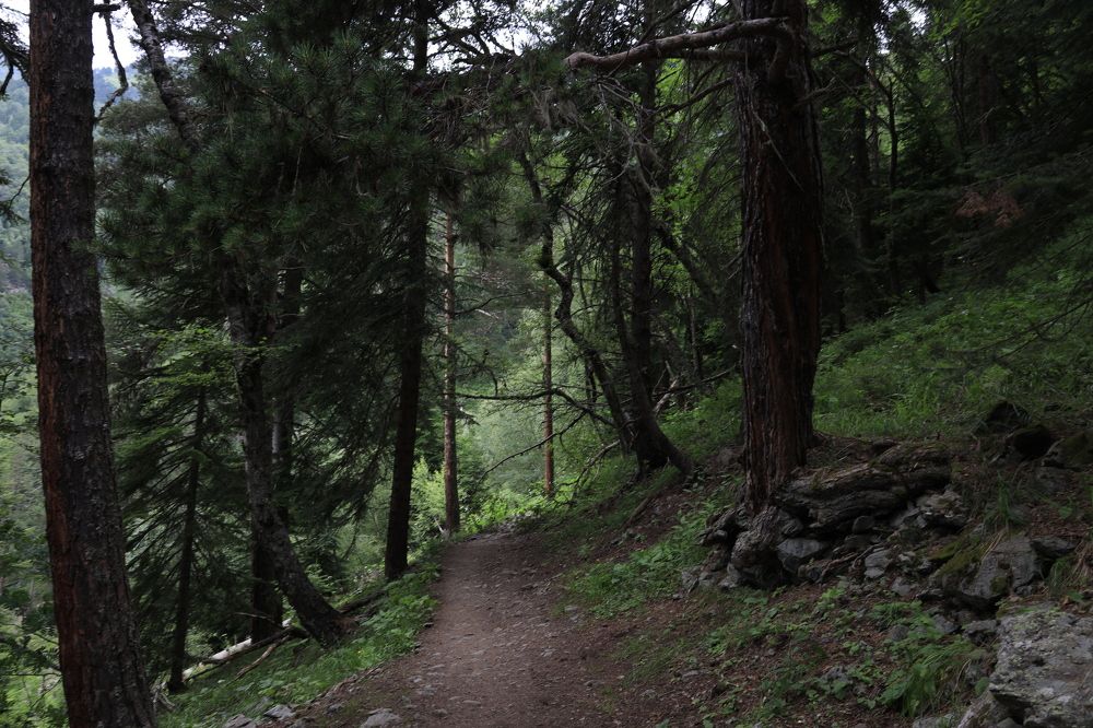 Фотография автора Колосова Елена