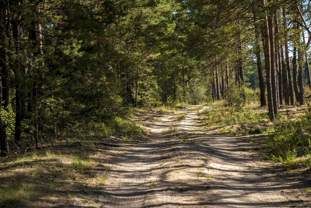 Photograph by Людмила Павловна