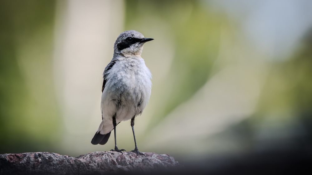 Photograph by Sofia Belyaeva