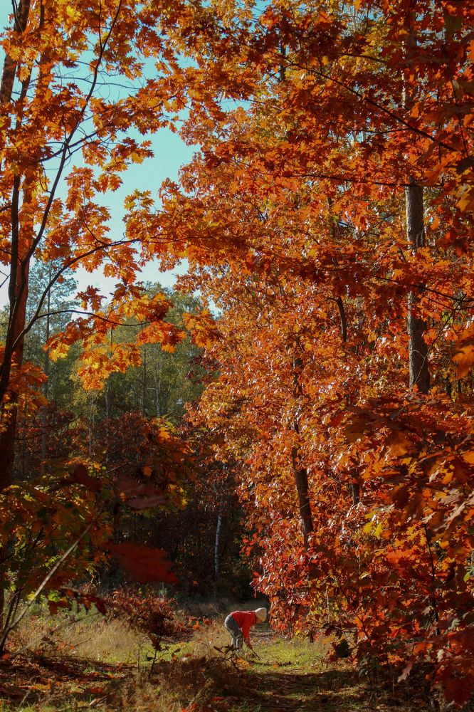 Фотография автора Ольга Панасюк