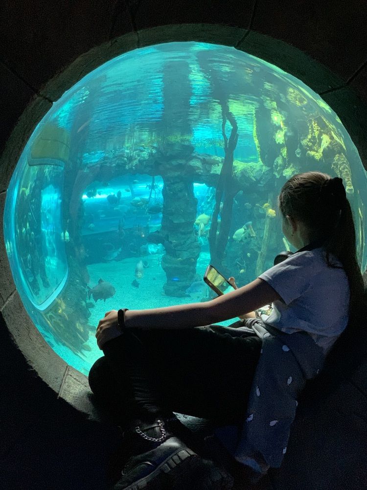 Photograph by гульназ замалеева