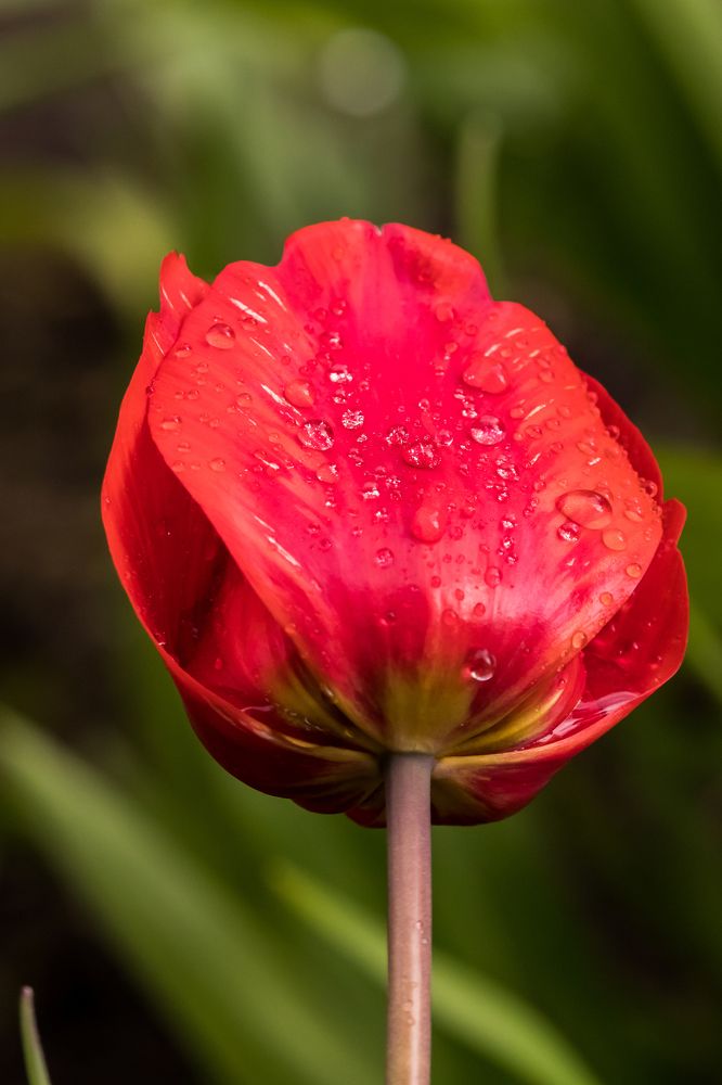 Photograph by Мария Тёмкина