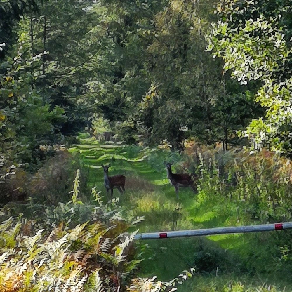 Photograph by Михаил Жарский