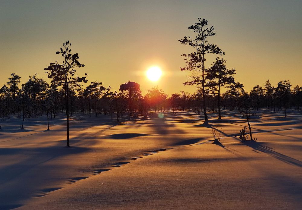 Photograph by Юлия