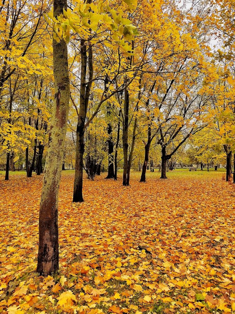 Photograph by Мария Тёмкина