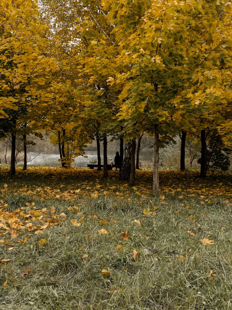 Photograph by Александр Новиков