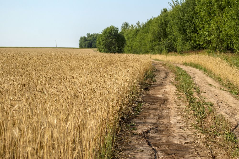 Photograph by Людмила Павловна