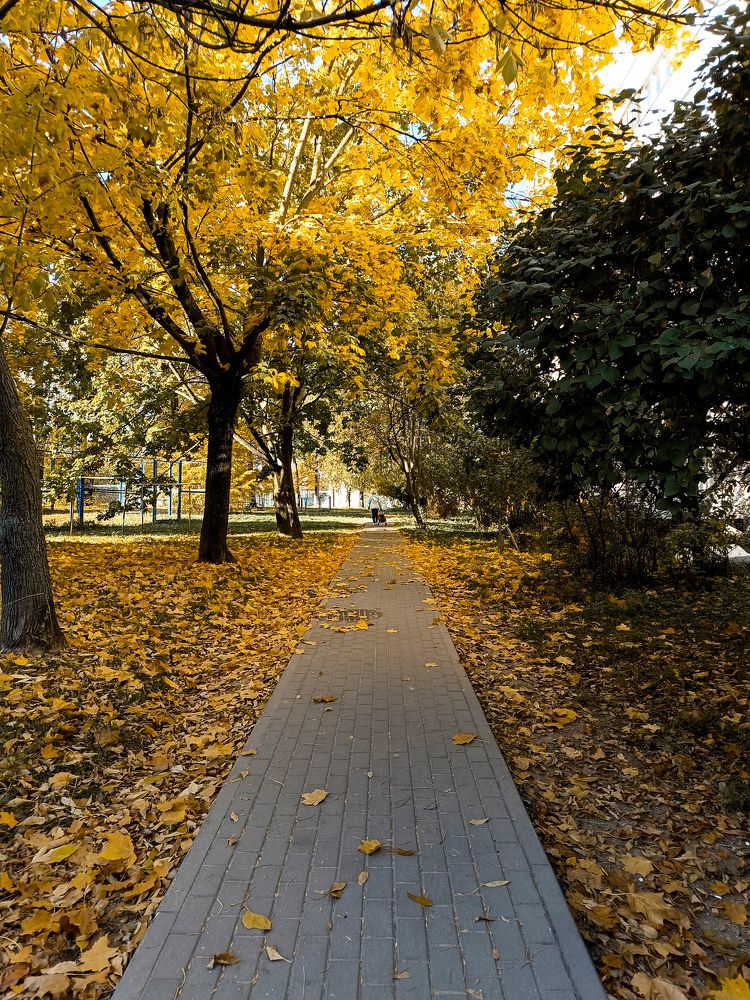 Photograph by Александр Новиков