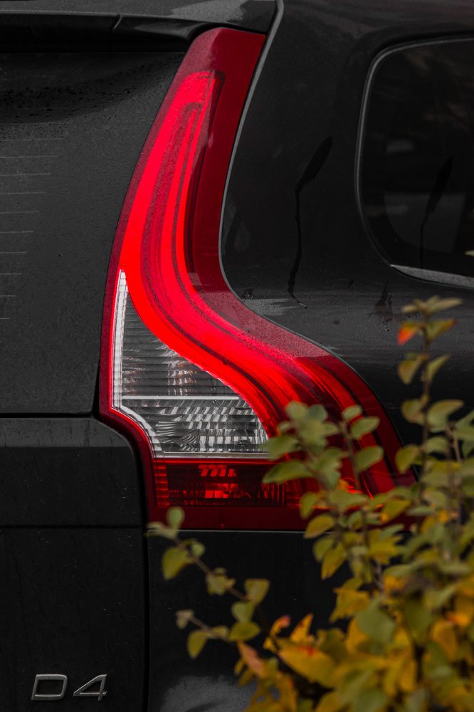 Photograph by Елена Гусева