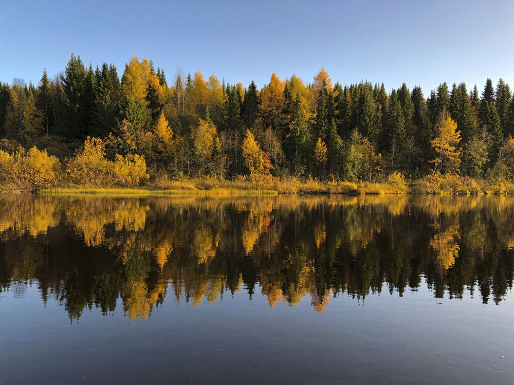 Осень