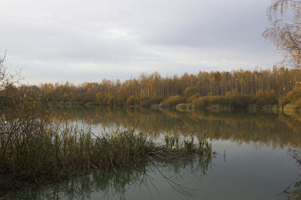 Photograph by Егор Белов