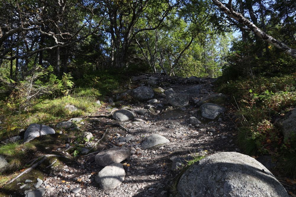 Фотография автора Колосова Елена