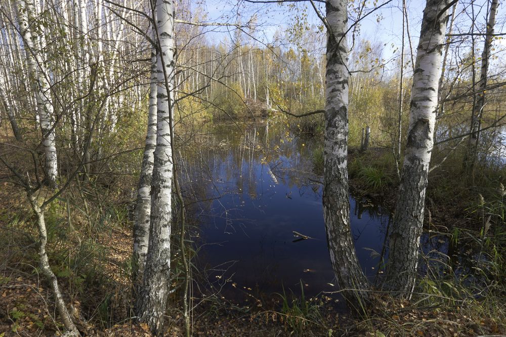 Photograph by Егор Белов