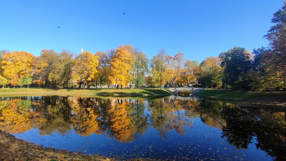 Photograph by Василь Гареев