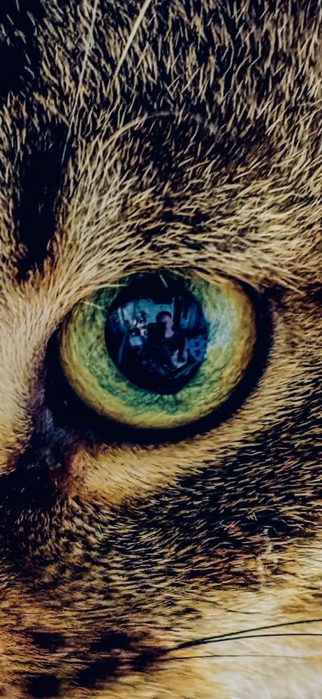 Photograph by Yuri Valuev