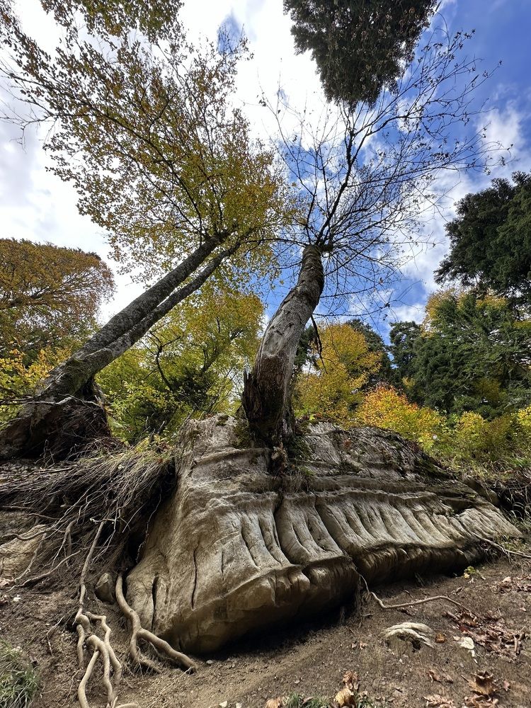 Photograph by Ольга Байгажакова