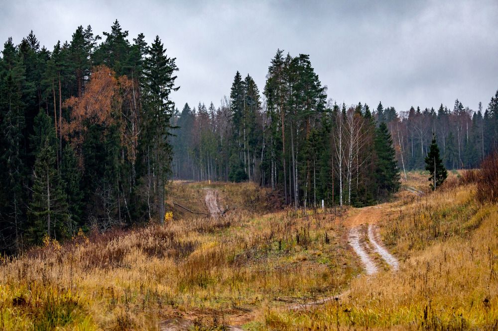Фотография автора Ольга