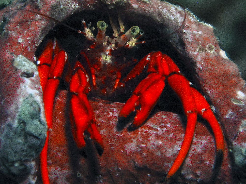 Photograph by Luiz Augusto Magina