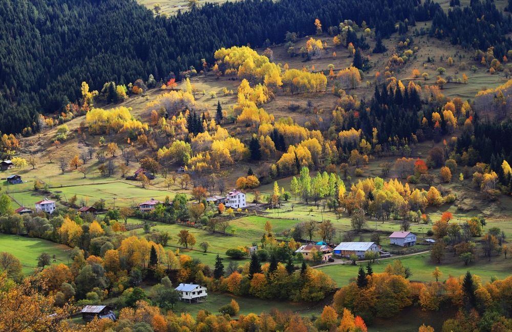 Photograph by Esin Sağır
