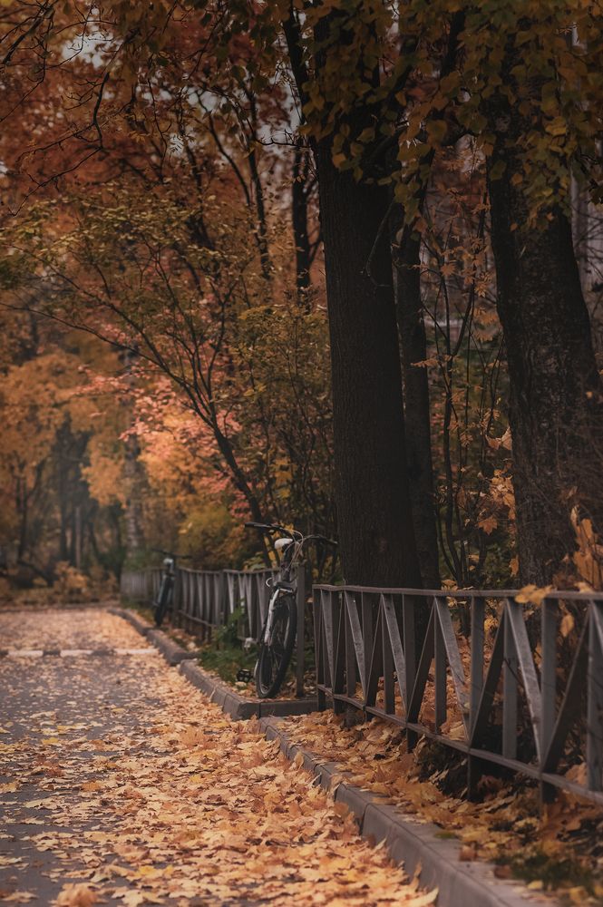 Photograph by Елена Амозова