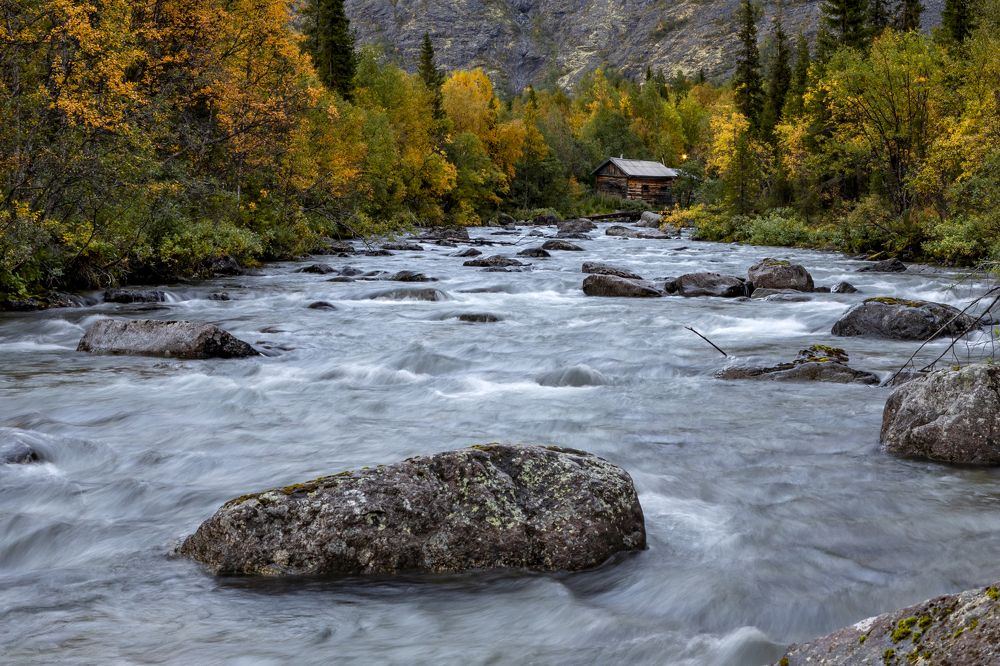 Фотография автора Ольга