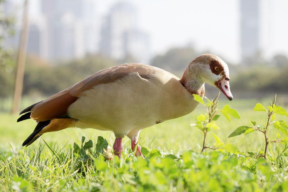 Photograph by Зоя