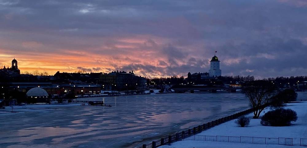 Фотография автора Анна Могилева