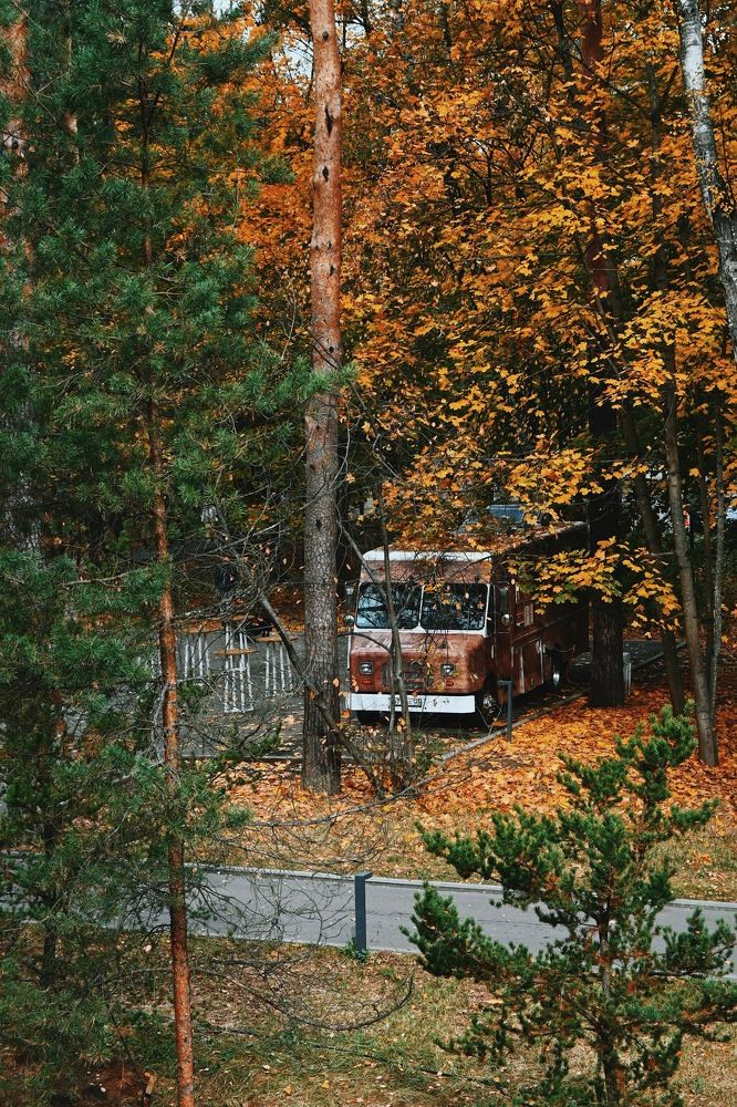 Photograph by Алёна