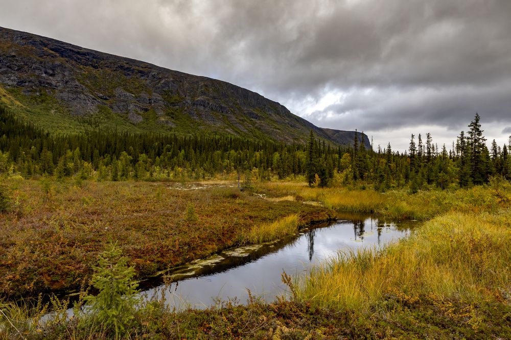 Фотография автора Ольга