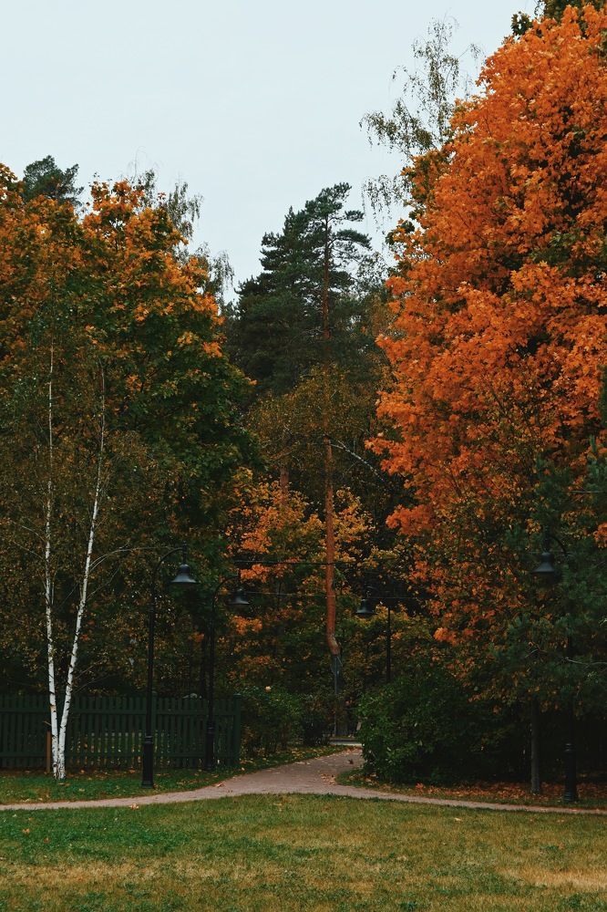 Photograph by Алёна