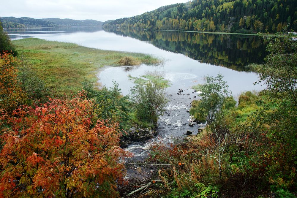 Photograph by Ольга Аристова