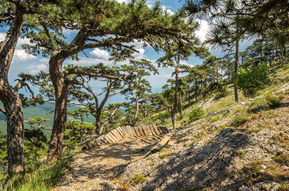 Тропа для избранных!